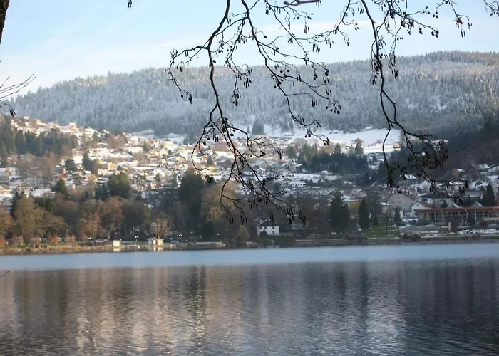 Hotel Restaurant De La Poste A 2*